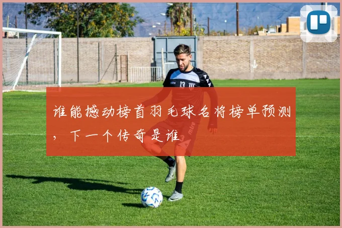 谁能撼动榜首羽毛球名将榜单预测，下一个传奇是谁
